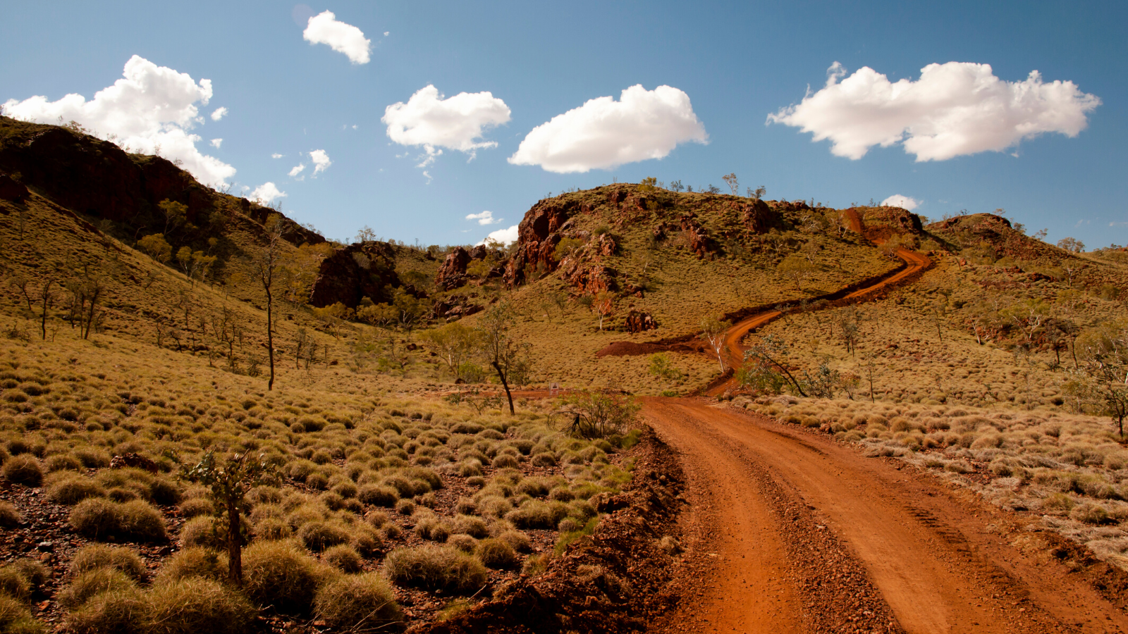 Poor digital connectivity affecting health of rural Australians