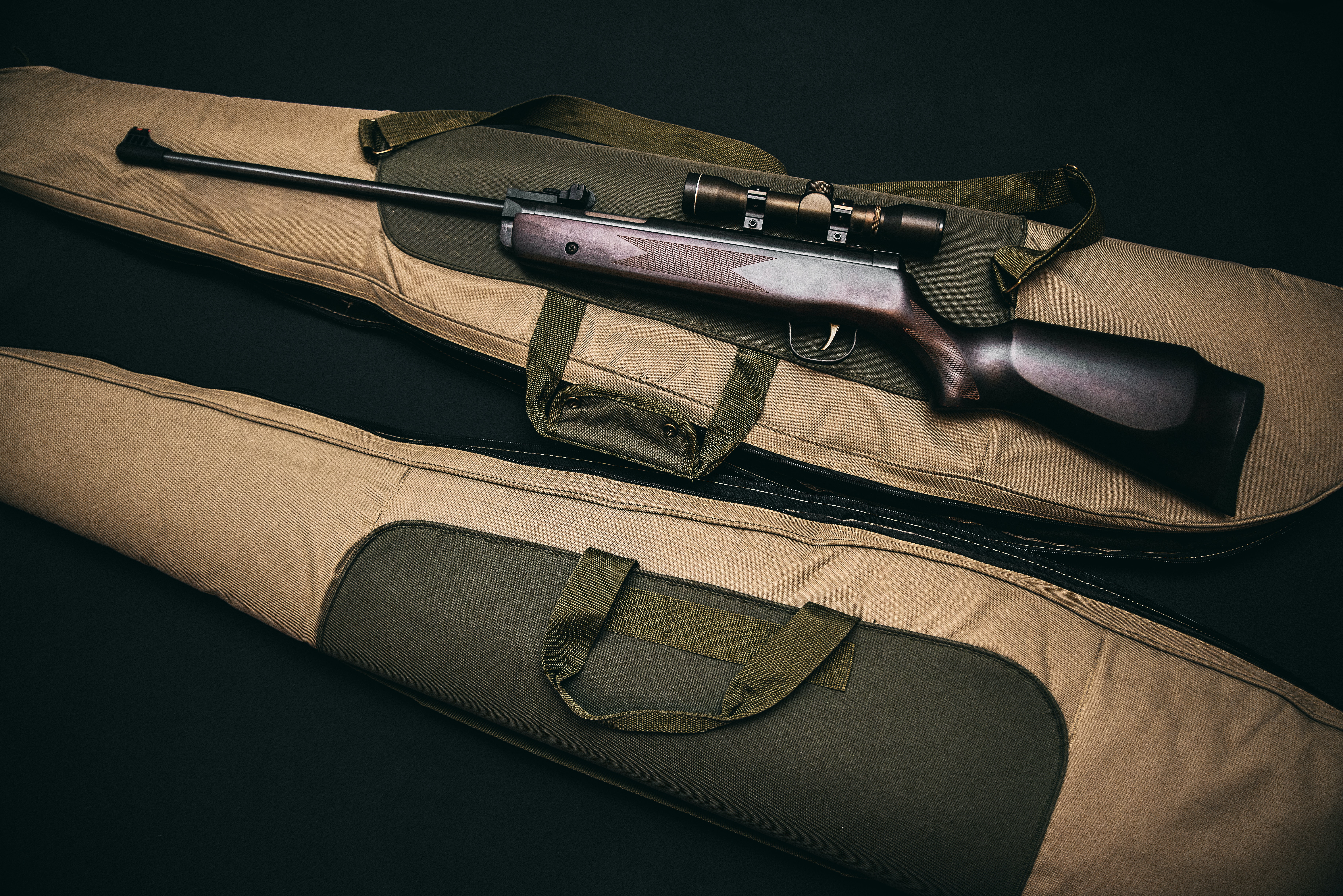 firearms