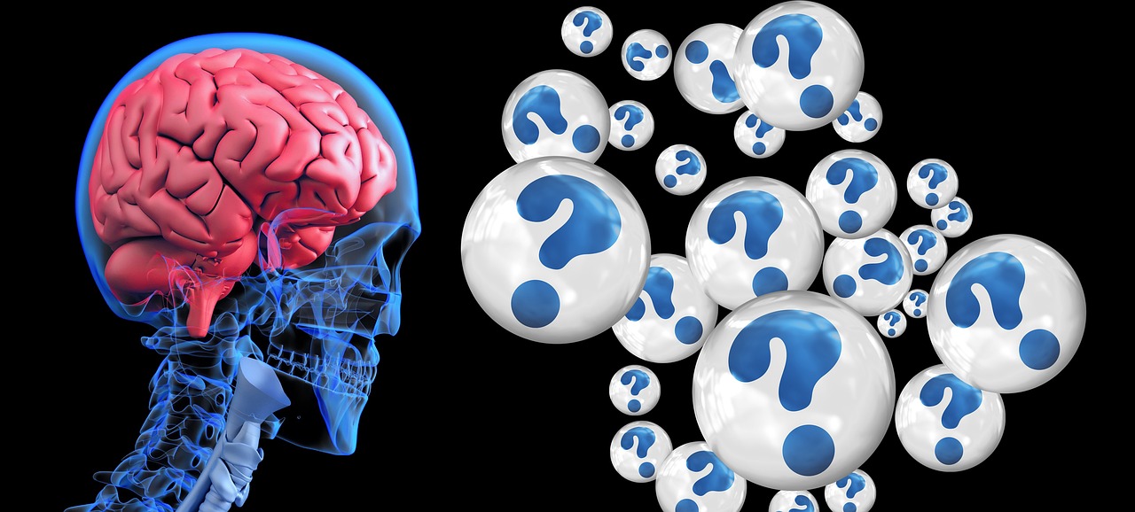 brain_questions
