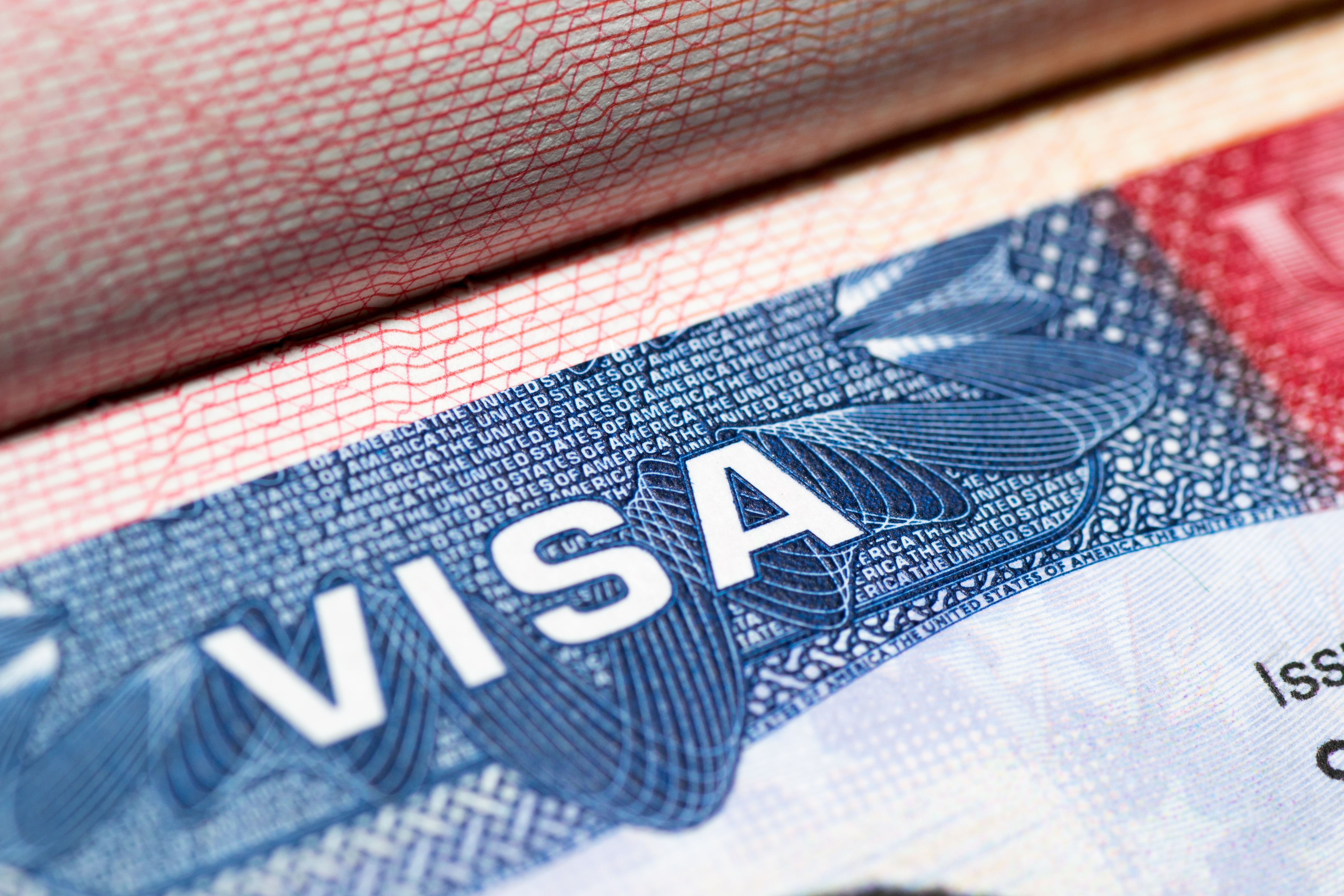 Виза это. USA visa dv1. Dv1 виза. Виза картинка. Виза шенген Германия.