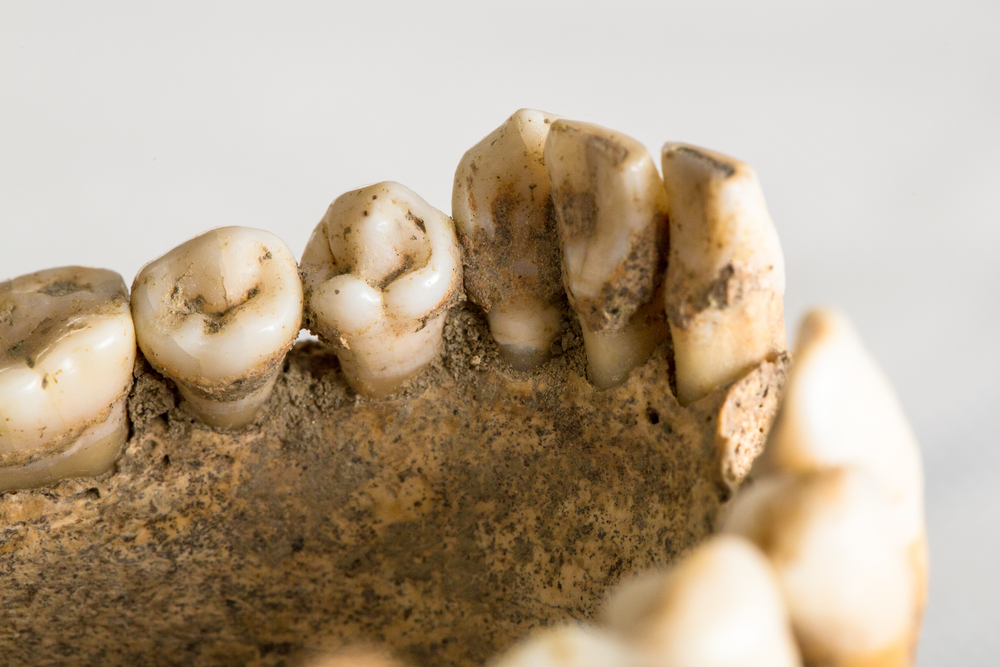 Forensic Odontology | Australian Medical Association