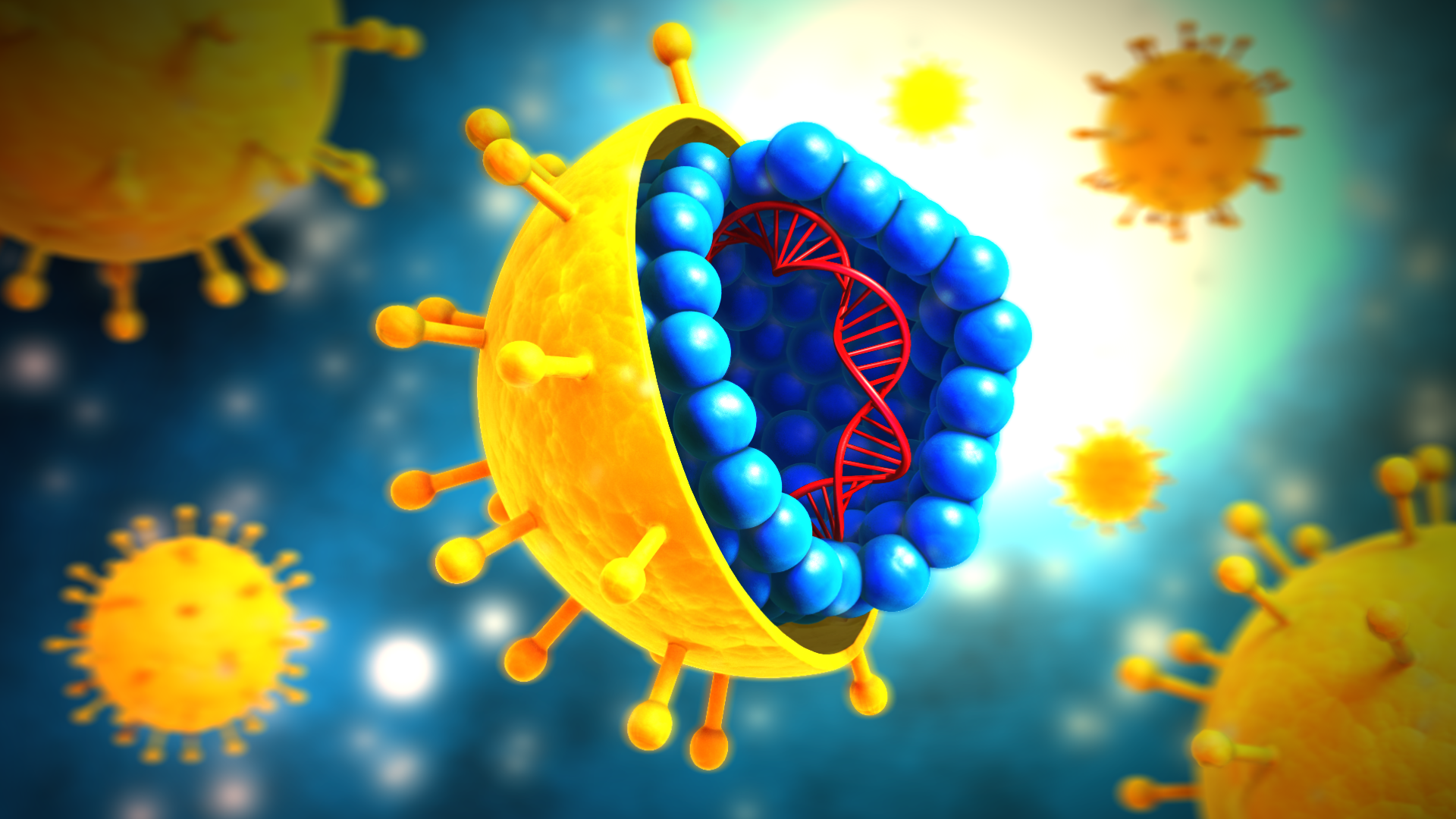 Hcv c