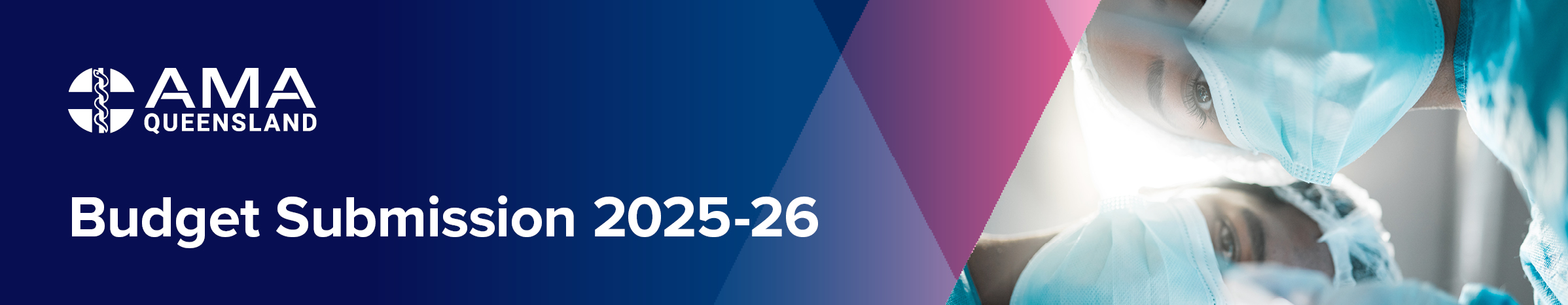 Budget submission 2025-26