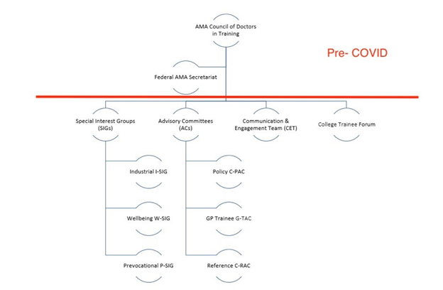 AMACDT representative structure 2021