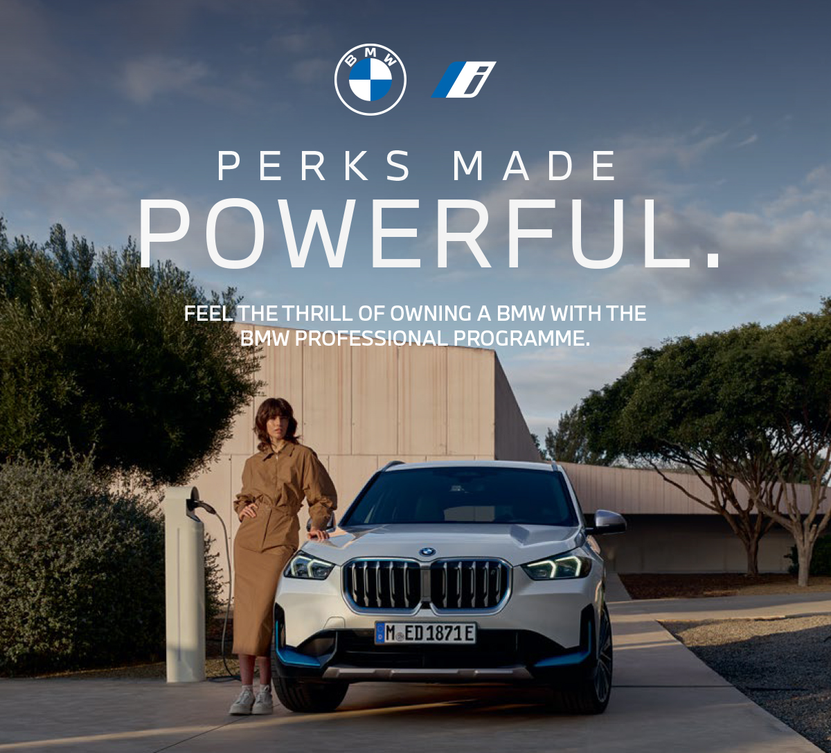 BMW Professional Program