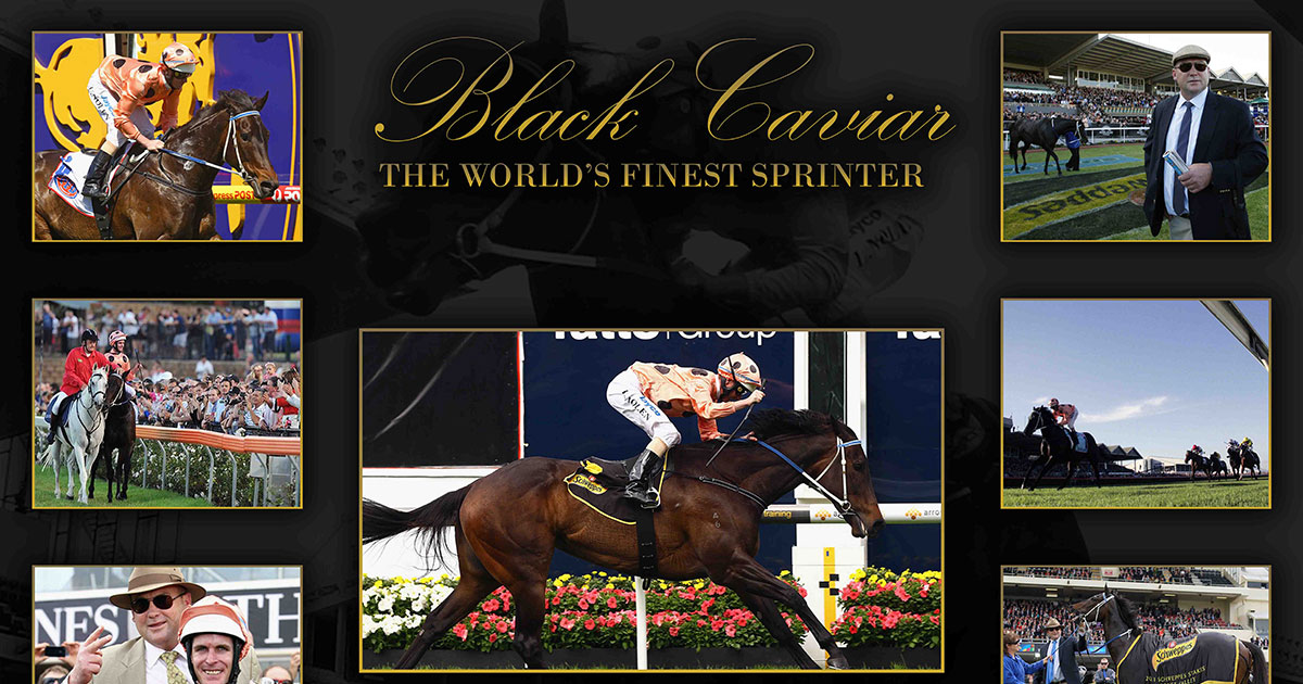 Black Caviar