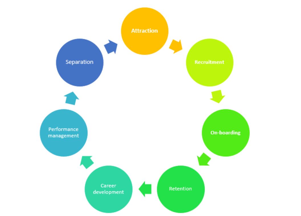 Life cycle web