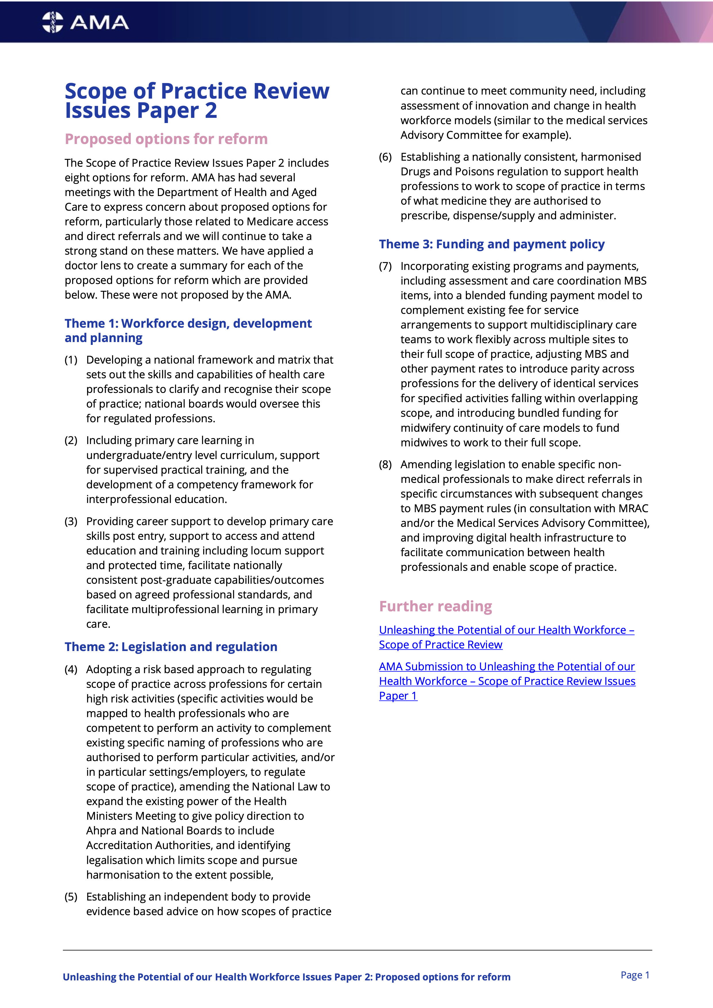 Issues Paper Summary