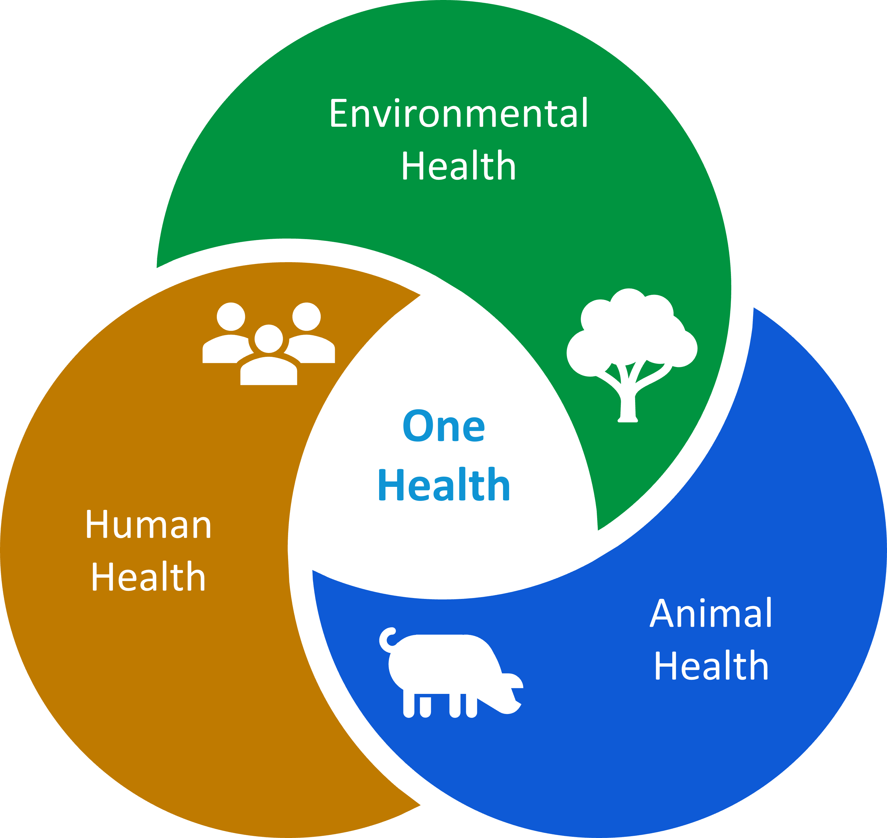 One Health issues impact the health of people, animals, and the environment