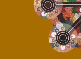 AMA Indigenous Medical Scholarship
