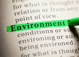 Environment text