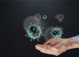 flu virus