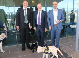 Julian Rait with puppies at federal AMA 