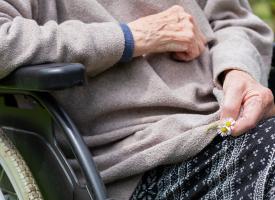 elderly woman in wheelchair