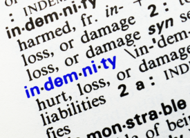 dictionary definition of indemnity 