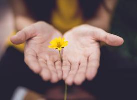 A woman holding a small yellow flower