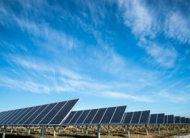 An array of solar panels under a clear sky