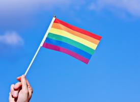 LGBTQIA flag