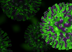 image of Omicron variant virus 