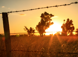 Outback landscape