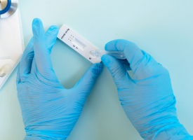 a pair of hands wearing blue gloves with rapid antigen test between the fingers of the left hand