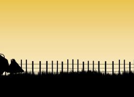 rural landscape