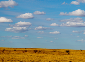 Rural Australia