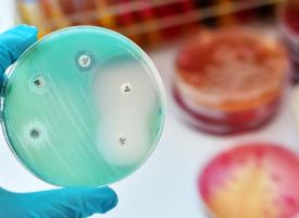antimicrobial