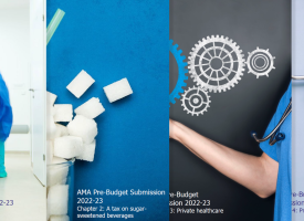 AMA Pre-Budget Submission 2022-23