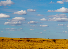 AMA submission to the Office of the National Rural Health Commissioner on the National Rural and Remote Nurse Generalist Framework