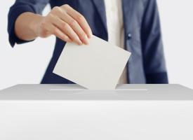 person voting