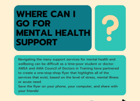 AMACDT x AMSA Mental Health Support Traffic Light Guide