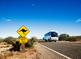 Rural road with kangaroo sign and bus 