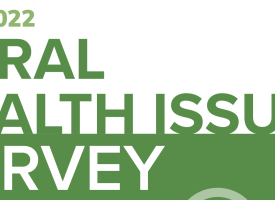 Rural Health Issues Survey Report