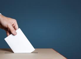 person voting