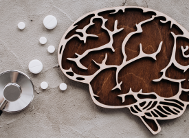 brain
