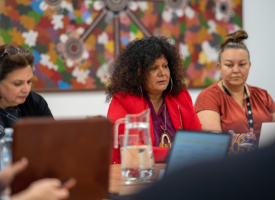 AMA Taskforce on Indigenous Health meeting