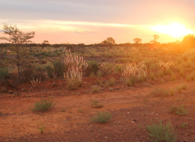 Rural Australia