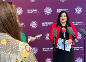AMA Queensland President Dr Maria Boulton addresses media at state parliament