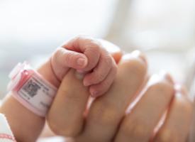 Image of baby and adult's hands