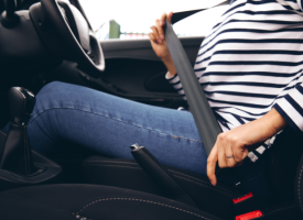 Driver putting on seatbelt