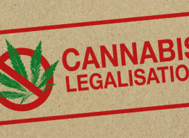 No cannabis legislation