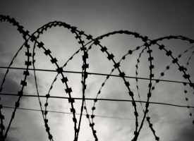 Barbed Wire