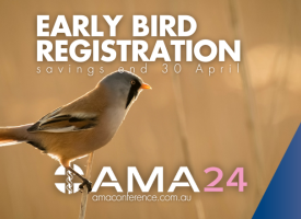 AMA24 Early Bird