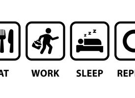 Eat Sleep Work Repeat
