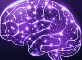 Brain image