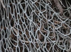 Fishing net