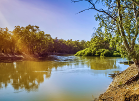 Murray Darling