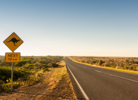 Rural Australian road with kangaroo road sign