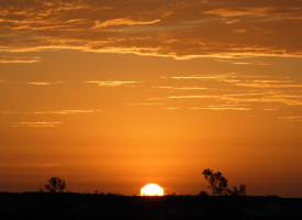 Outback sunrise